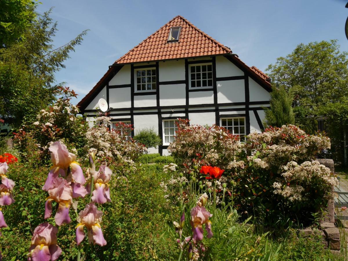 Ferienwohnung Weserblick Polle Luaran gambar
